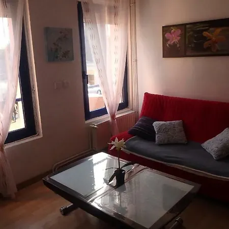 Vakantiehuis Voltaire *